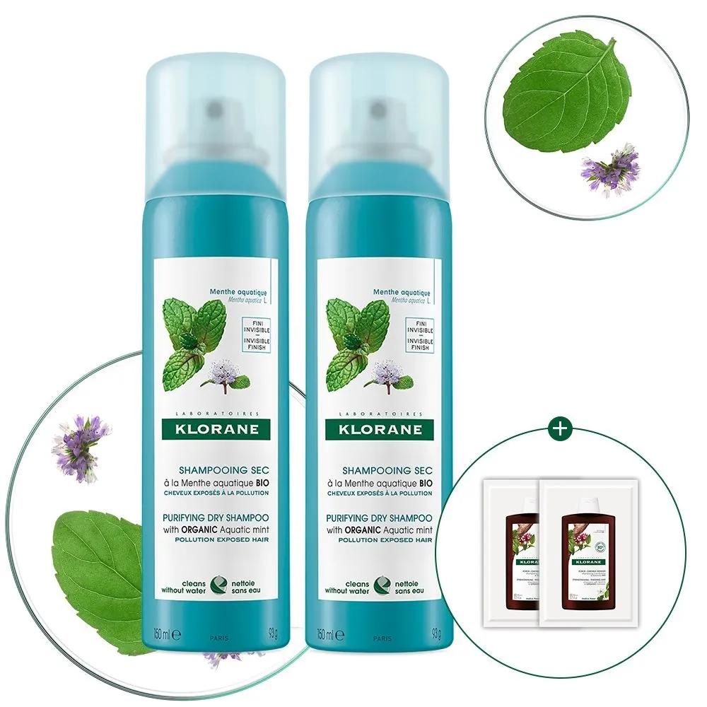 

[Жирная кожа головы и охлаждение кожи головы] Aqua Mint Cool Сухой шампунь для устранения жирности 150 мл (2 бутылки)