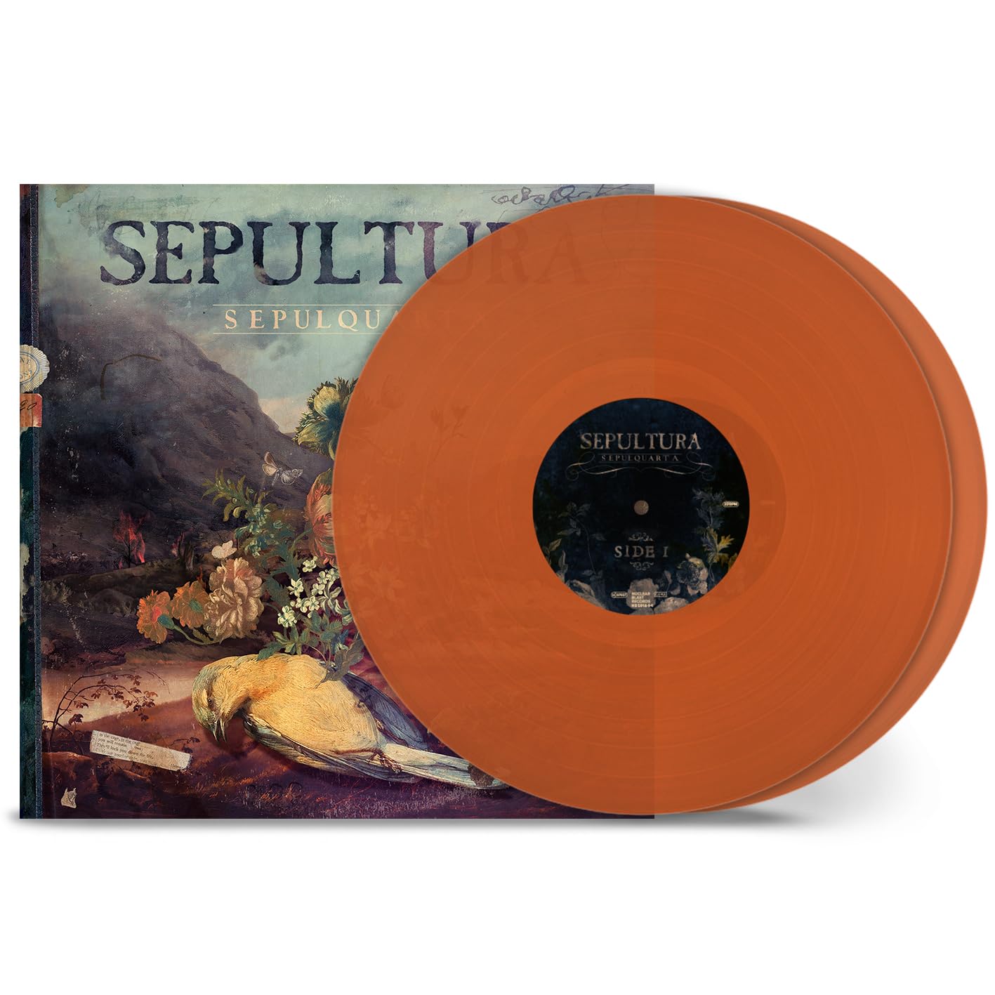 

SEPULQUARTA (Import Disc) [Analog]
