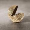 Open-Shell Sculptural Ornament for Entryway
