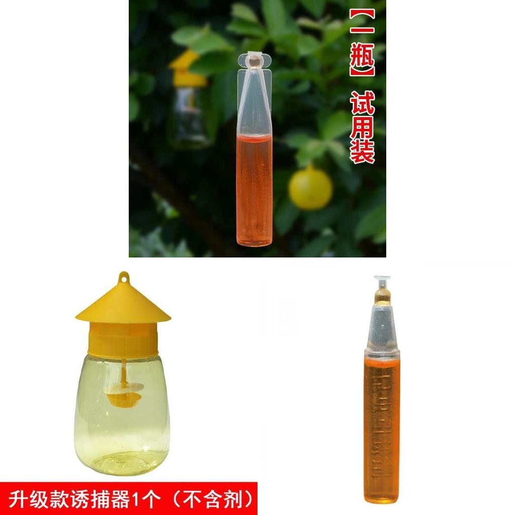 Fruit Fly Trap With Yellow And Green Baits For Garden Pest Control