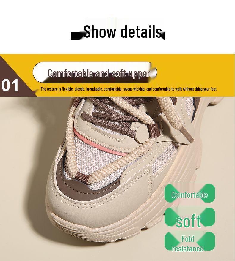 Dames 2025 Lente Ademende Mesh Hoogte-Verhogende Witte Dad Schoenen met Dikke Zool