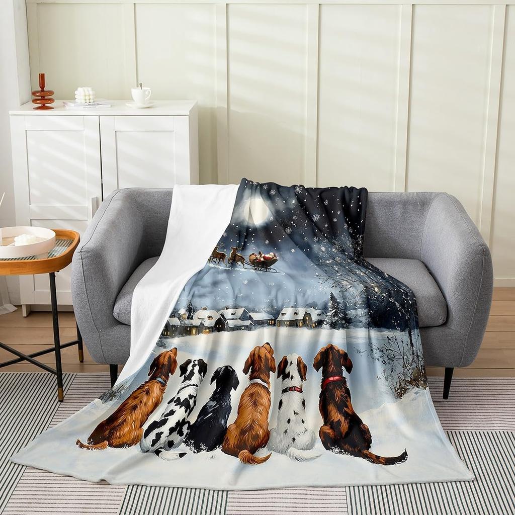Xmas Grids Flannel Blanket Warm Lightweight,Merry Christmas Theme Warm Blanket for Couch Sofa Decor,Cartoon Santa Claus Warm