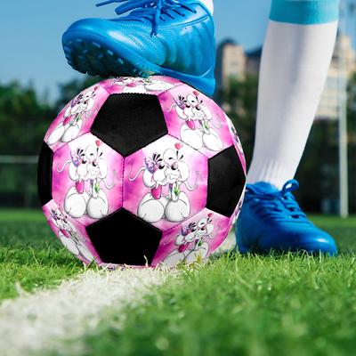 Diddl Cute Indoor Soccer Ball Colorful Machine Stitched PVC Size 5 Team Training Competition Ready Durable High-Bounce Cool Sports Gift
