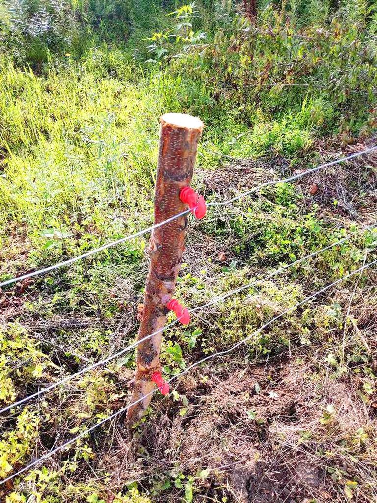 Electric Fence Insulators for Cattle & Wild Boar Prevention - Extended, Thickened Netting with Self-Tapping Rubber Insulating Nails