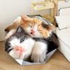 1PC Kittens  Automatic Umbrella - Suitable Travel Outdoor Portable Umbrella Birthday Gift Daily Essentials