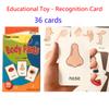 Children Cognition Cards Body Parts Animal Fruits English Word Animal Sheets Color Picture Vegetable Pictures Child Development