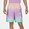 Jordan Air Jordan Sports Shorts Men's Multicolor Moderate CZ4850-858