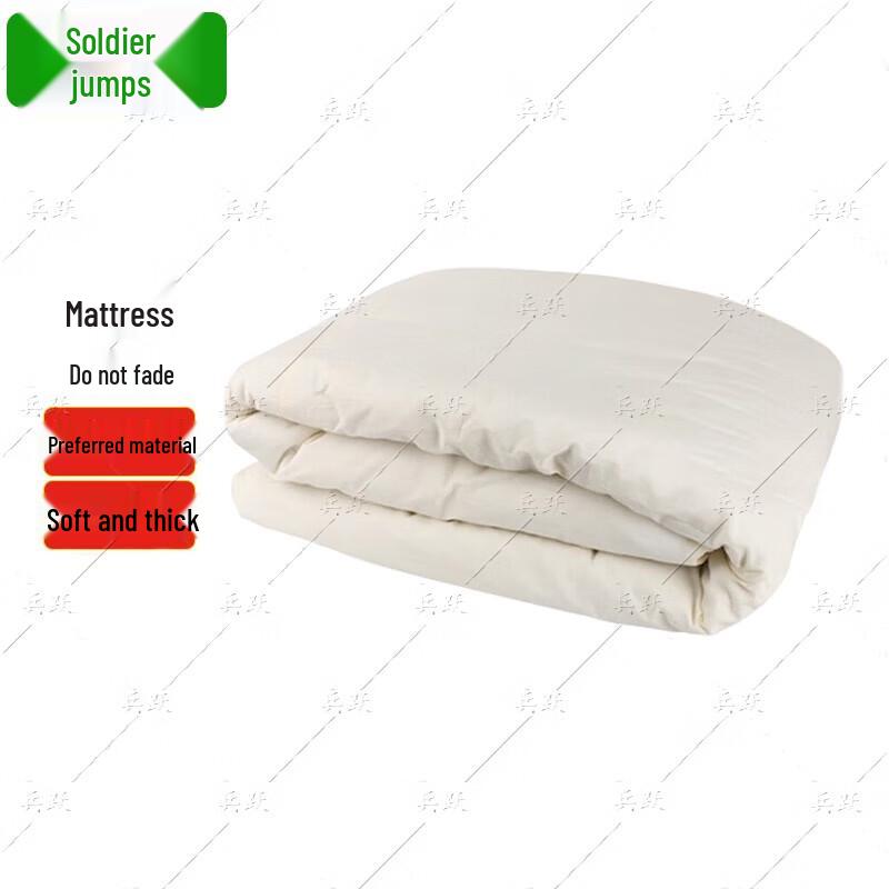 Dormitory Cotton Mattress Pad