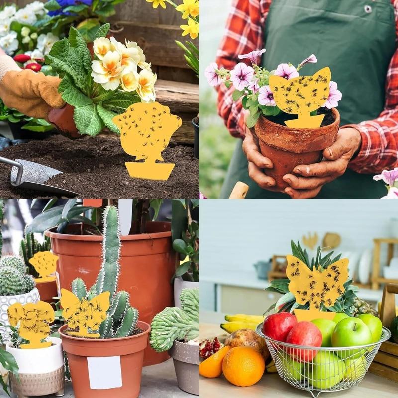 20/40 Stück Insektenfallen Ungiftig und Geruchlos Gelbe Klebrige Insektenfallen Schützen Die Pflanze Klebrige Brettfallen für Gartenpflanzen Küche