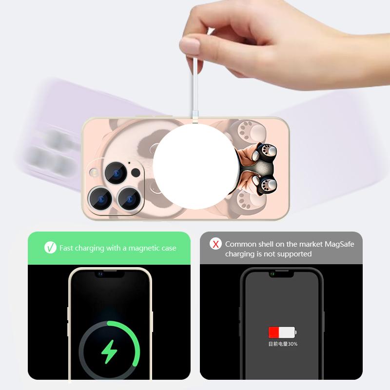 Orange Coat Panda Pattern Case For iPhone 17 Pro Max Magnetic For Magsafe Silicone Cover For iPhone 16 Pro Max Funda iPhone 15 14 13 12 11 16E Air