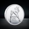 Moneta Ragazza Sexy, Moneta Portafortuna, Moneta Commemorativa in Argento Dorato di Bellezza, Moneta Sexy, Artigianato Divertente con Monete, Regalo di Natale, Pensierini per la Befana
