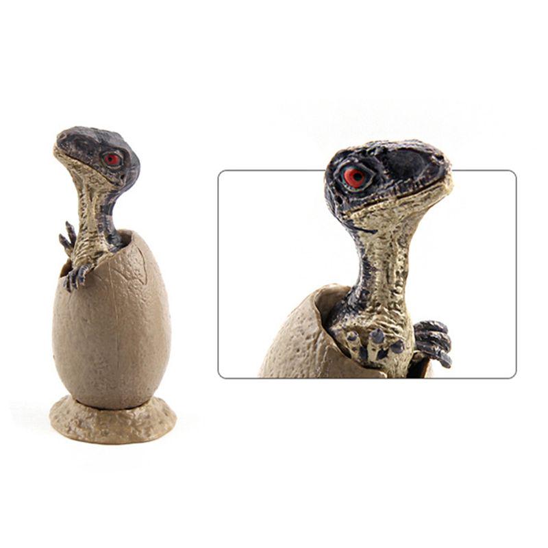 3pcs/Set Mini Hatching Dinosaur Egg Kids Toy Growing Dinosaur Baby Action Figure