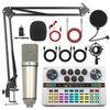 Y200 48V Zvuková karta & Rameno s mikrofonem pro živé vysílání & Podcasting