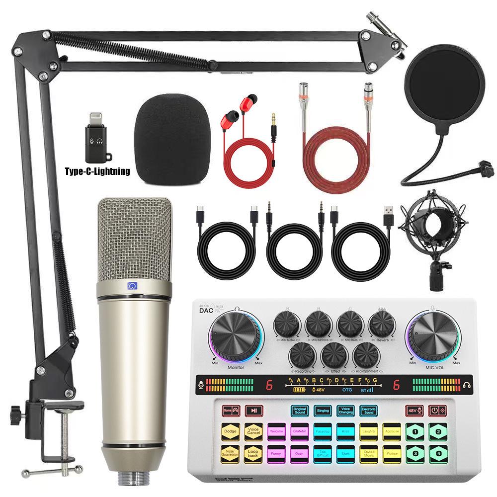 Y200 48V Zvuková karta & Rameno s mikrofonem pro živé vysílání & Podcasting