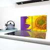 2x GLASS PROTECTIVE PLATE FOR STOVE 40x52 FLOWER