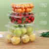 Disposable Square Plastic Fruit Containers with Lids
