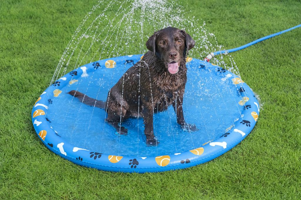 Bestway Dog Splash Pad, Sprinkler Mat, Non-Slip Sprinkler Pad for Dogs, Dog Pool, Splash Play
