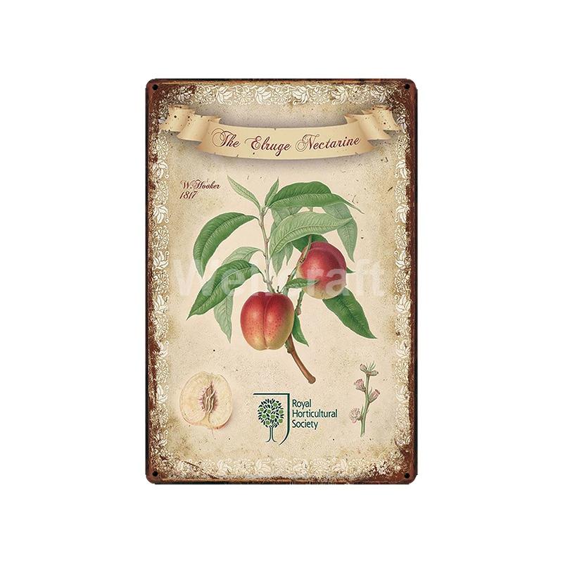 [ WellCraft ] Flower Pot Birds Plant Garden Metal Sign Wall Posters art Vintage Painting Personality Custom zoo Decor LT-1761
