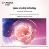 CHANDO Pink Diamond Firming Water and Lotion Set