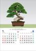 Japanese Spirit 2026 Wall Calendar (Bonsai) TD-721 CL26-1039