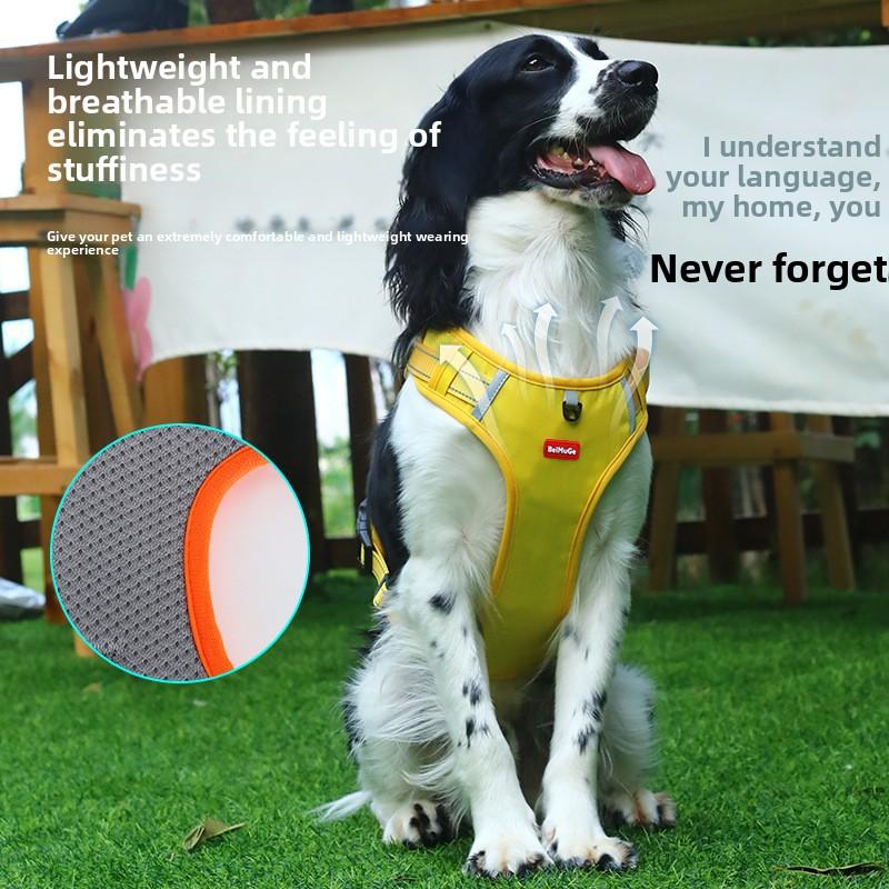 Eine Weste Hundeleine für kleine und mittelgroße Shiba Inu und Corgi Hunde, mit verstellbaren Brustgurten für Welpen