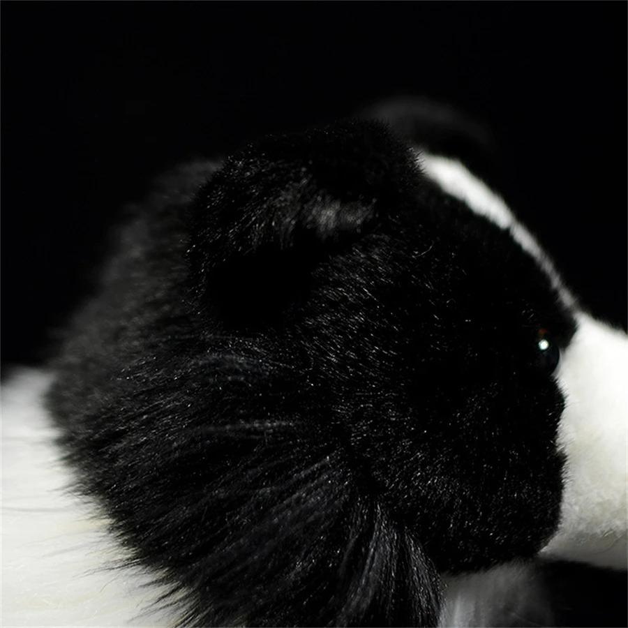 Border Collie Hohe Treue Anime Niedlicher Plüschtier Schäferhund Plüschtiere Lebensechte Tiere Simulation Stofftier Kawaii Spielzeug Geschenke