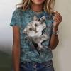 Women's T Shirt Animal Cat 3d Print Summer Tops Short Sleeve Tee Cute Girl Streetwear Female Oversized Clothing Pullover T-Shirts
