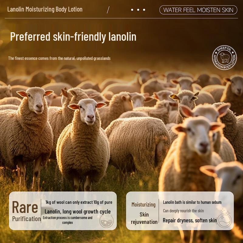 DR.ML Lanolin Body Lotion