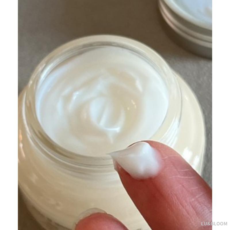 The Face Shop Rice & Ceramide Moisturizing Cream 50ml (+Free Gift)