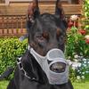 Adjustable Strap Mesh Dog Muzzle Breathable Pet Mouth Mask Comfortable Dog Mouth Cover  Medium Dogs