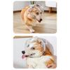 Transparent Dog Stop Barking Muzzle Anti-Bite Stop Barking Cat Dog Space Hood Pet Grooming Accessories Breathable