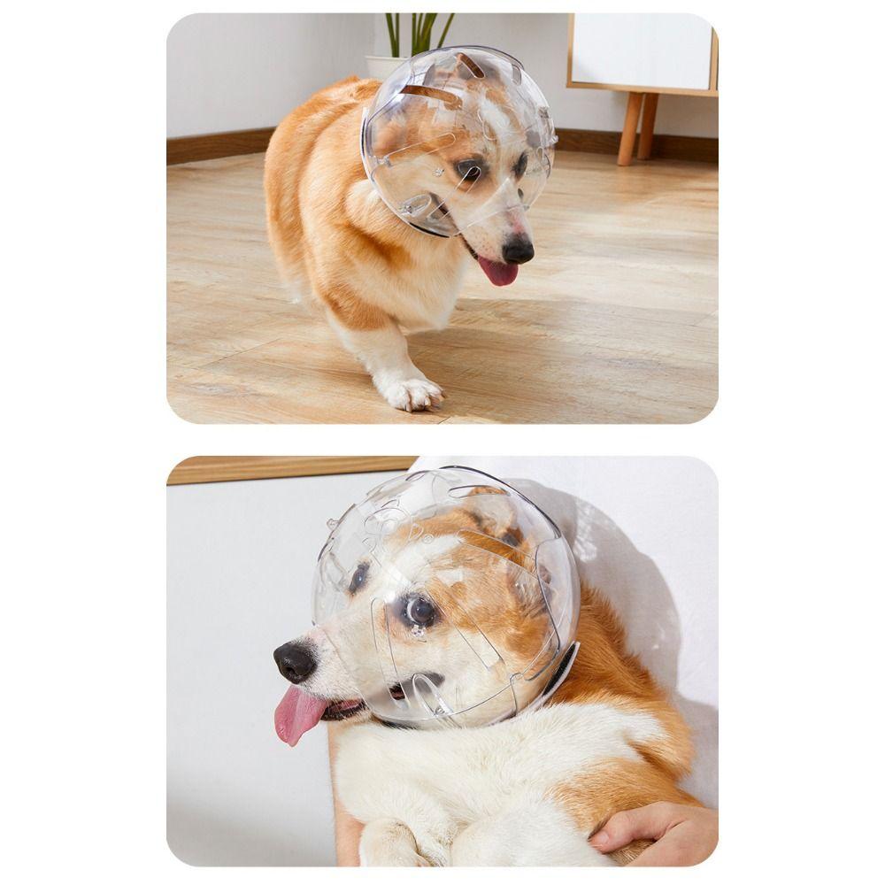Transparent Dog Stop Barking Muzzle Anti-Bite Stop Barking Cat Dog Space Hood Pet Grooming Accessories Breathable