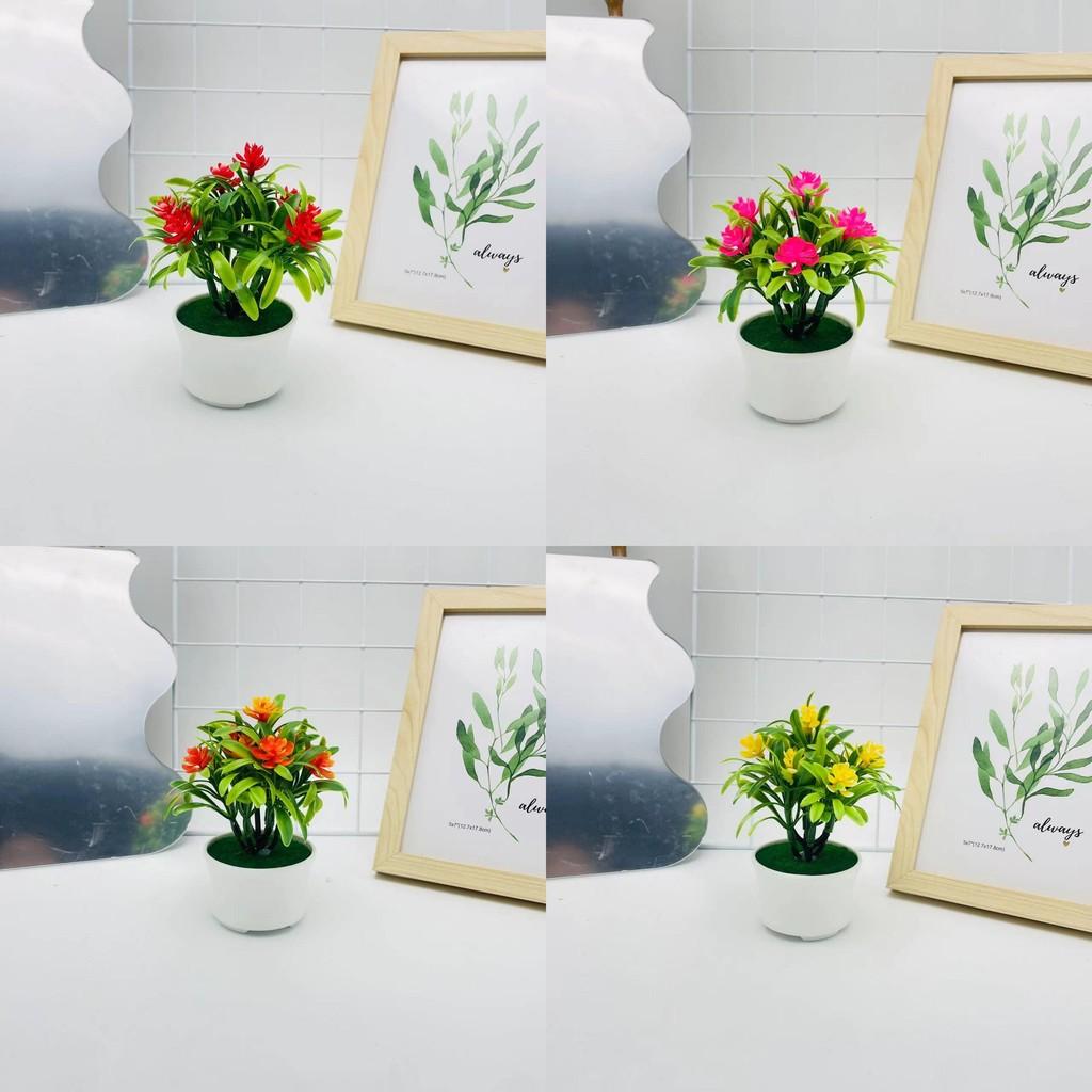 Camellia Artificial Sasanqua Bonsai For Photography Backdrops And Decor Indoor