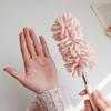 Extendable Dusting Brush for Home and Car with Washable