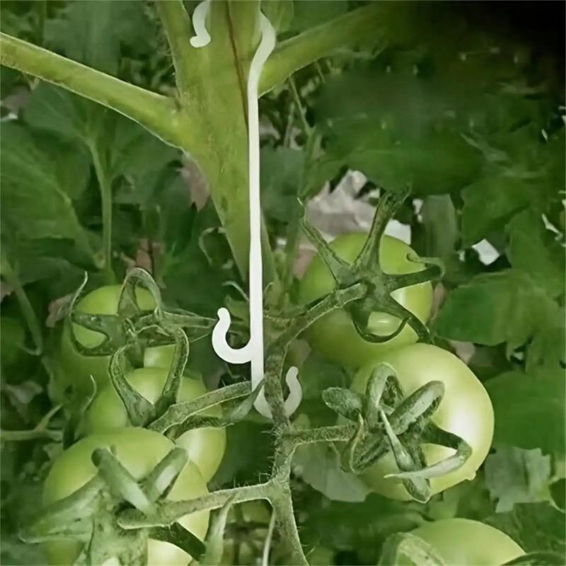 9.5/13/16cm Tomato Support J Shaped Ear Hook Clip Garden Vegetable Grape Vine Fastener Buckle Prevent Fruit Cluster Falling 50Pcs