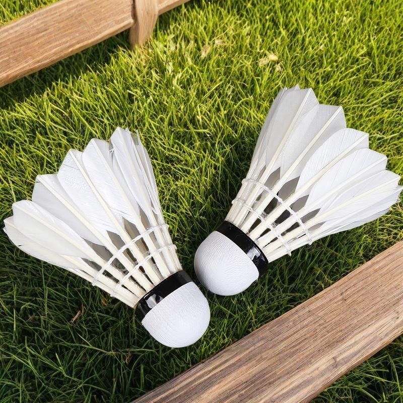 12pcs Feather Badminton Shuttlecocks Great Stability High Speed Badminton Birdies Balls for Sports Training Indoor Outdoor Game
