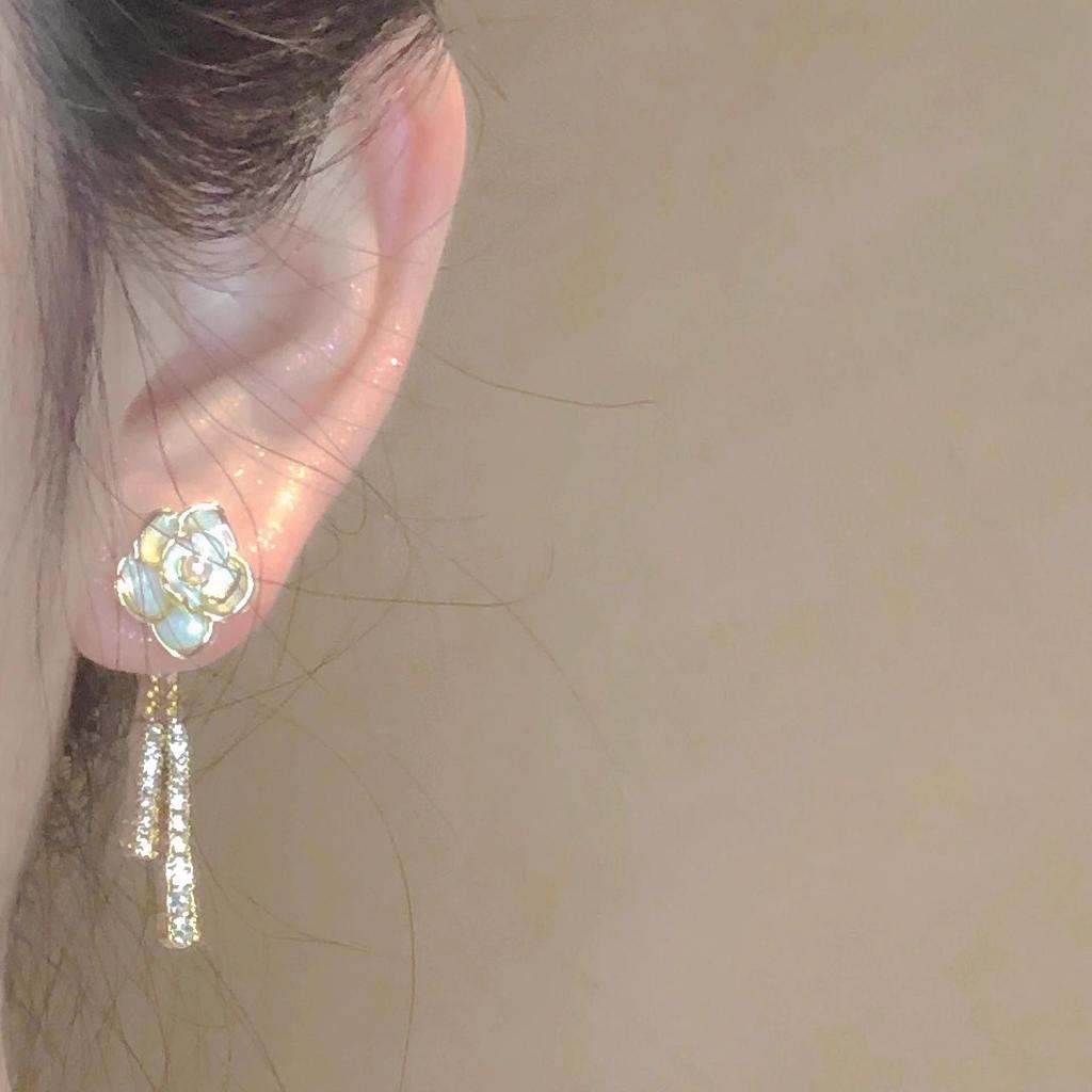 Super Glitzernde Zirkon Quastenohrringe - Vintage Koreanischer Influencer Stil 2025 Trend