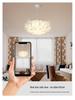 2025 Modern Minimalist Petal Ceiling Light - Full Spectrum, Warm & Romantic for Master Bedroom