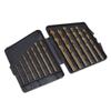 Comprehensive 13Pieces Straight Shank Twist Drill Bits Kits with Hard Storage Case for Drilling In Various Materials