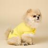 ANGEL DOG Puppy Summer Clothes Gaerism Cool Vest Mint