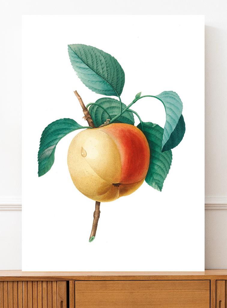 Vintage Apple Blossom Poster