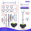 Adjustable Height Stand for BJD Dolls: Compatible with 6, 8, and 12 Scale Models