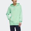 Adidas Neo Casual Solid Color Hoodie Men Hoodies Green GI7198
