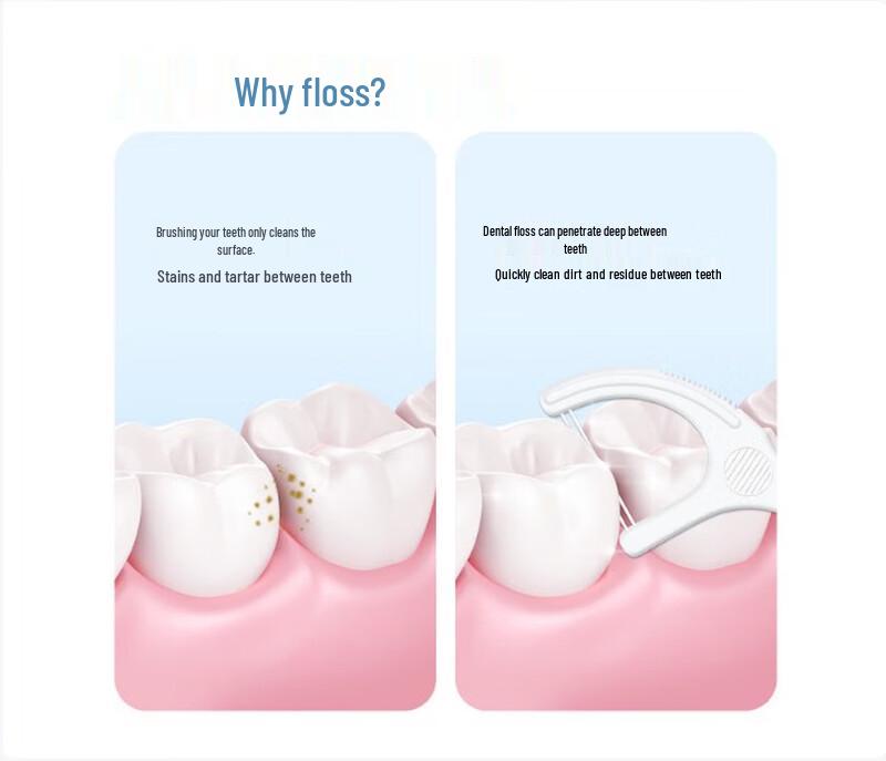 FAWNMUM Dental Floss Picks Bulk Pack