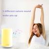 Sunrise Alarm Clock with Wake Up Light Natural Sounds Night Light Touch Control for Bedroom Kids Adults Christmas Gift Sleep Aid