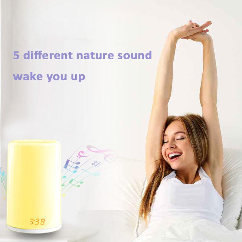Sunrise Alarm Clock with Wake Up Light Natural Sounds Night Light Touch Control for Bedroom Kids Adults Christmas Gift Sleep Aid
