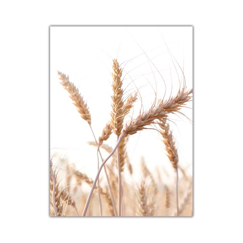 

Современный винтажный ботанический холст, картина с натуральной пампасной травой, постер, бежевый художественный принт, настенная картина для гостиной, домашний декор A4 21x30cm No Frame