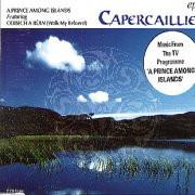 

7inch Record CAPERCAILLIE A Prince Among Islands ZB45393 Survival Record 1992 UK CountryFolk Used