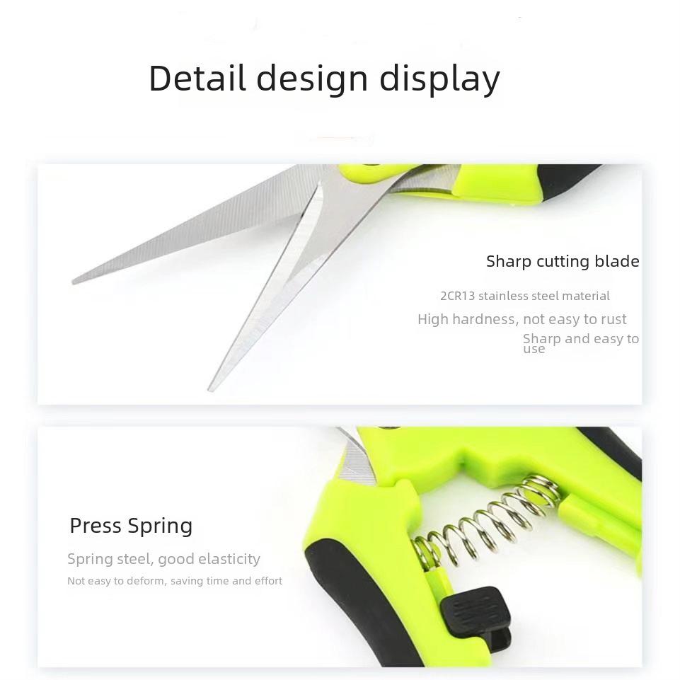 Stainless Steel Tilted Head Fruit Thinning and Pruning Shears