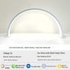 Super Bright LED Beauty Salon Desk Lamp with Eye Protection and Manicure Light